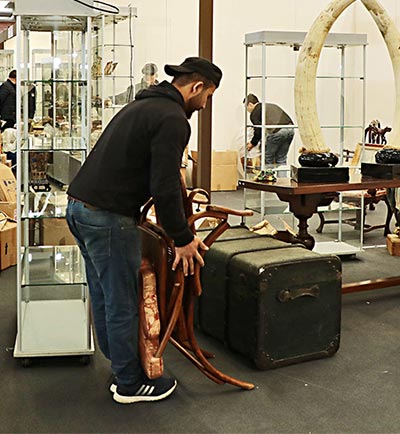 Immagine della galleria 37